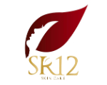 Jasa SEO Organik Surabaya Indonesia | In Partnership with SR-12