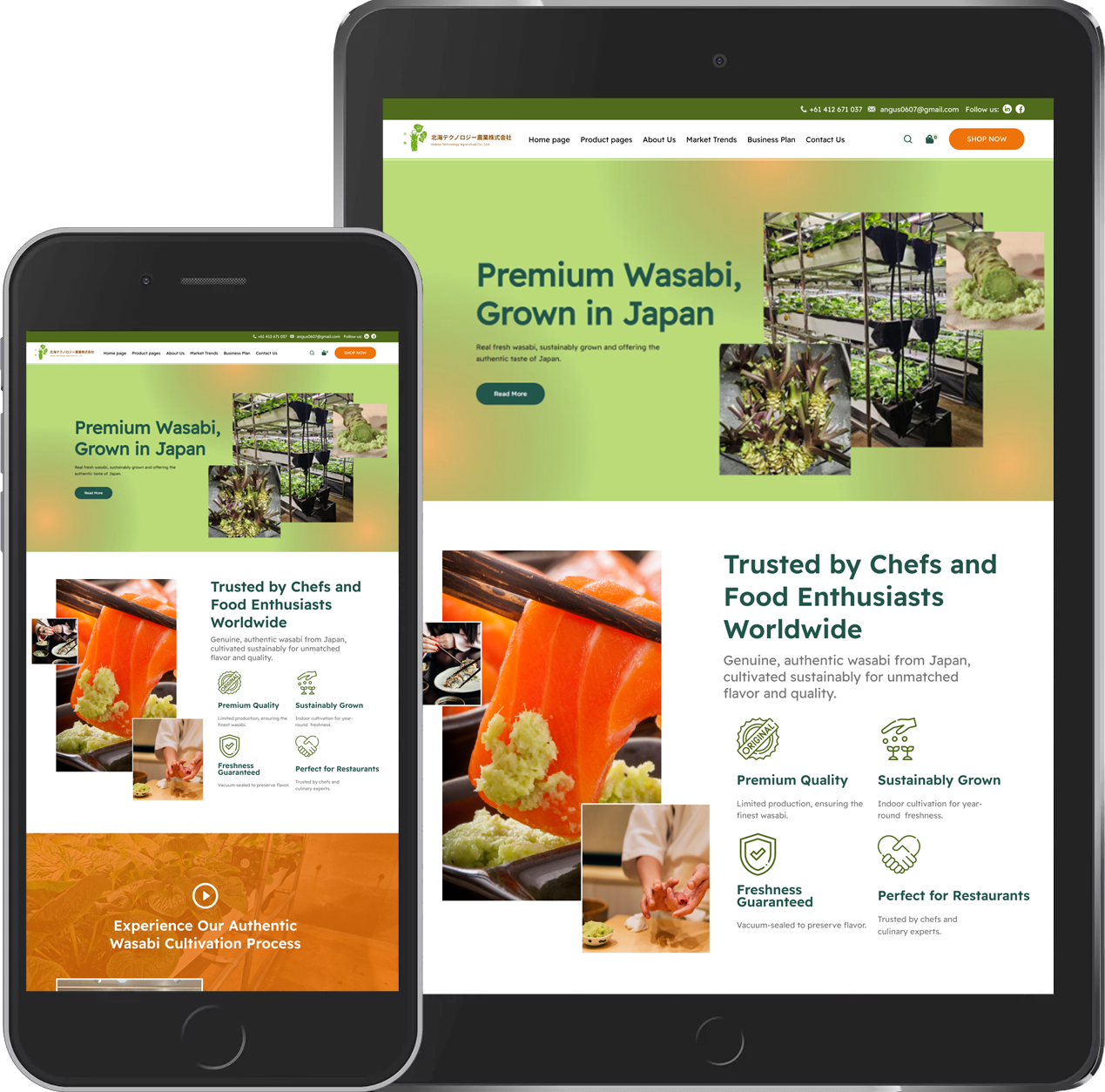 Wasabi Hokkaitech - Website Development