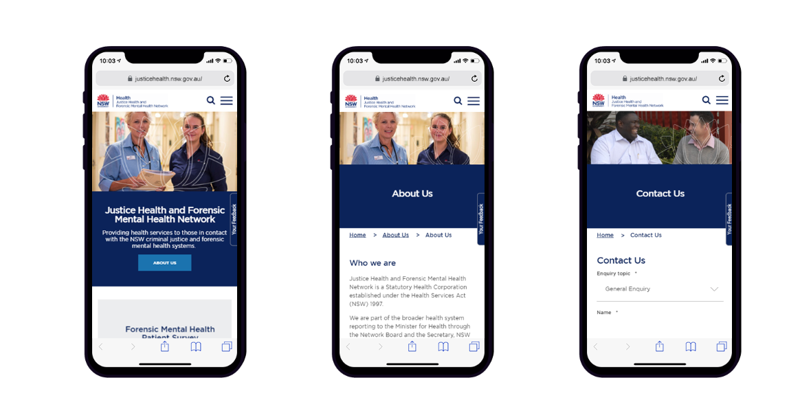 Website Development for The Justice Health and Forensic Mental Health Network